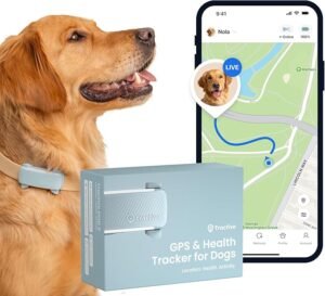 gps cães | 2025 edição | nº 1 do mercado | localização em tempo real