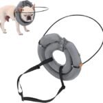 coleira de anel para cães cegos