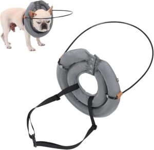 coleira de anel para cães cegos