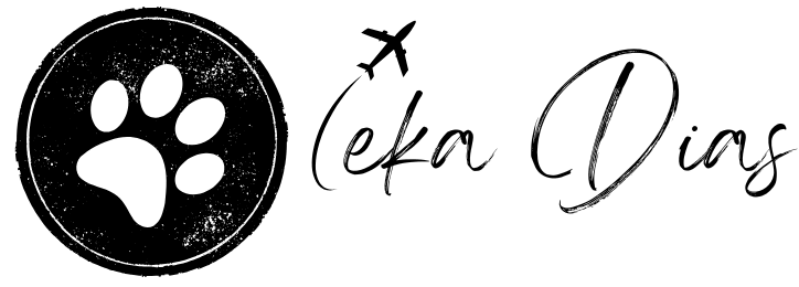 cropped logo aviao pag. home.png