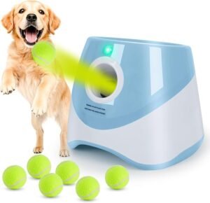 orifesio lançador automático de bolas para pet