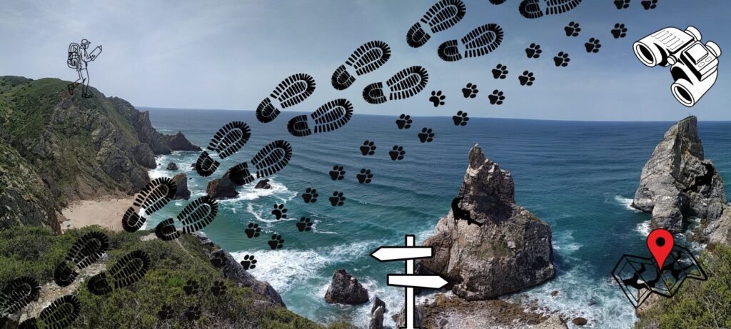 painel de trilha